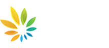 Visualzen Community